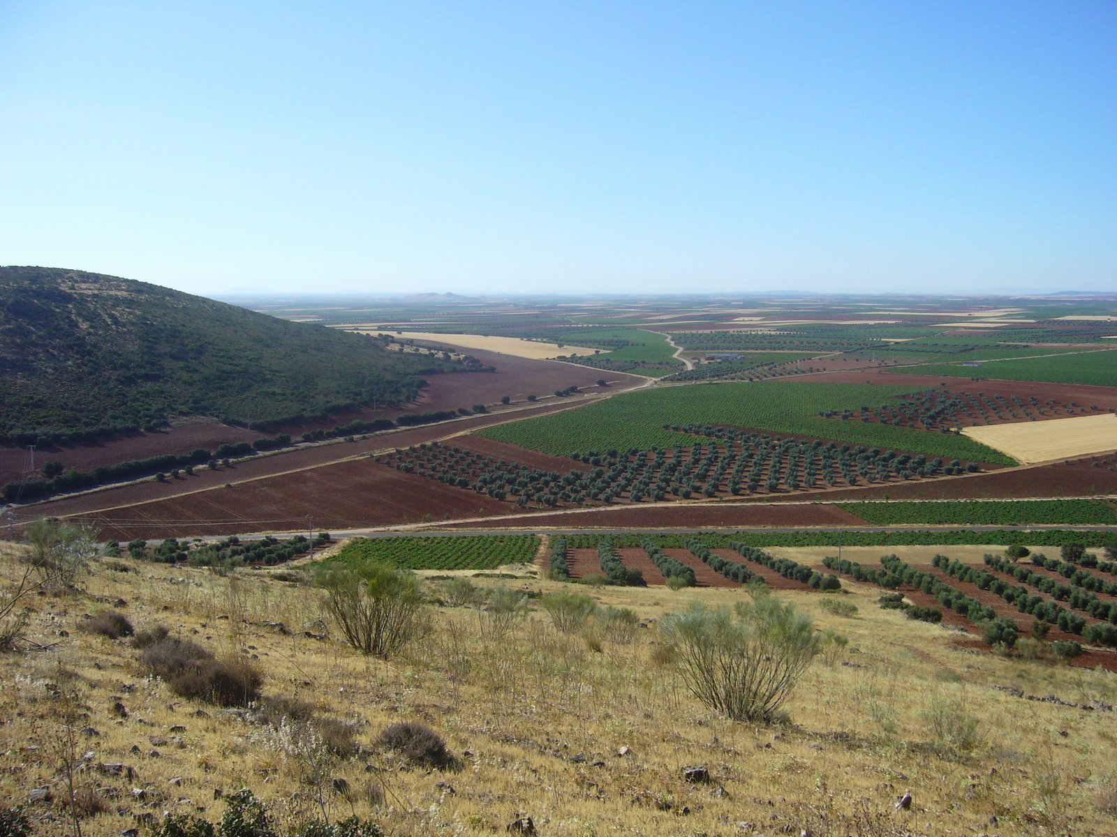 DESDE EL REPETIDOR DE SAN CARLOS