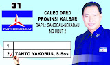 Caleg Demokrat