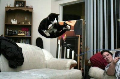 Random Fun Pics 3 12