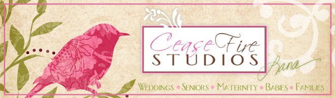 Cease Fire Studios Maryville, Missouri Photographer MO