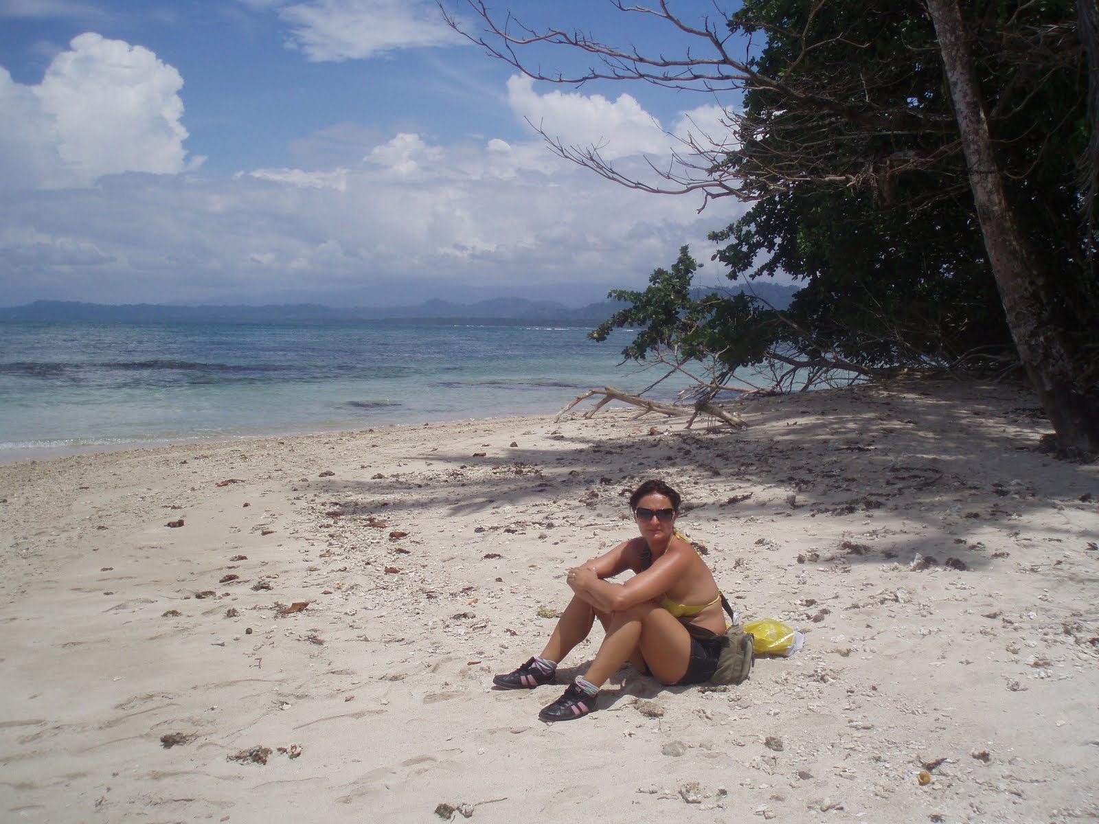 [P1010584.JPG]