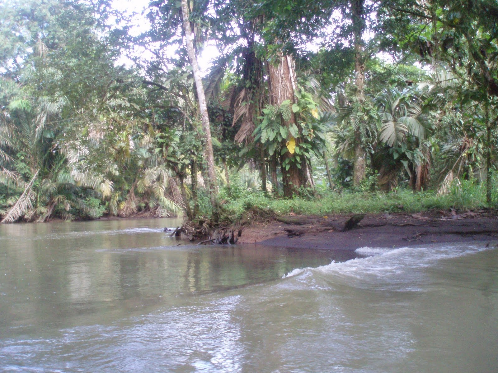 [P1010714.JPG]