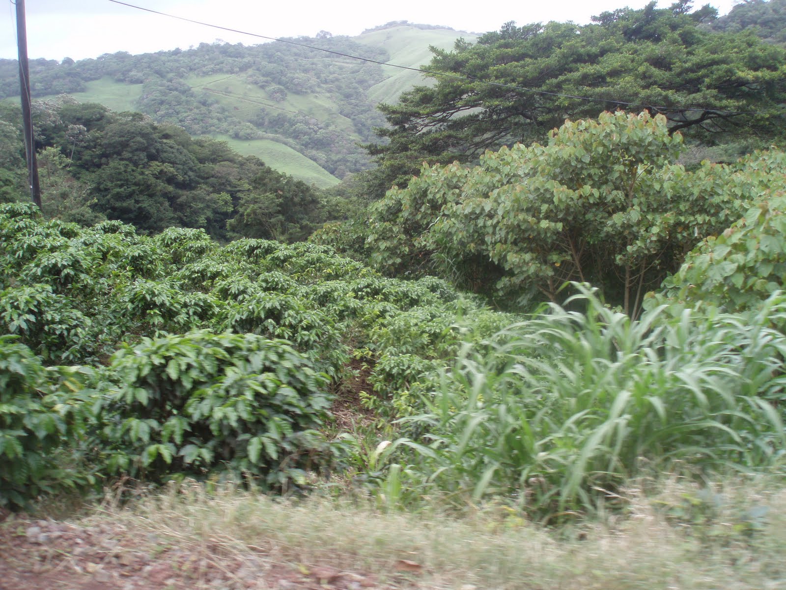 [P1010845.JPG]