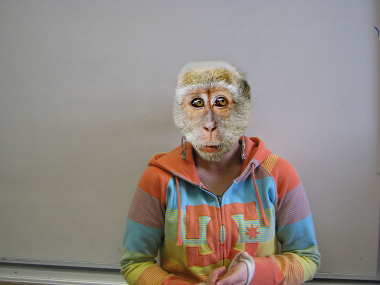 Monkey Do, Monkey Me!