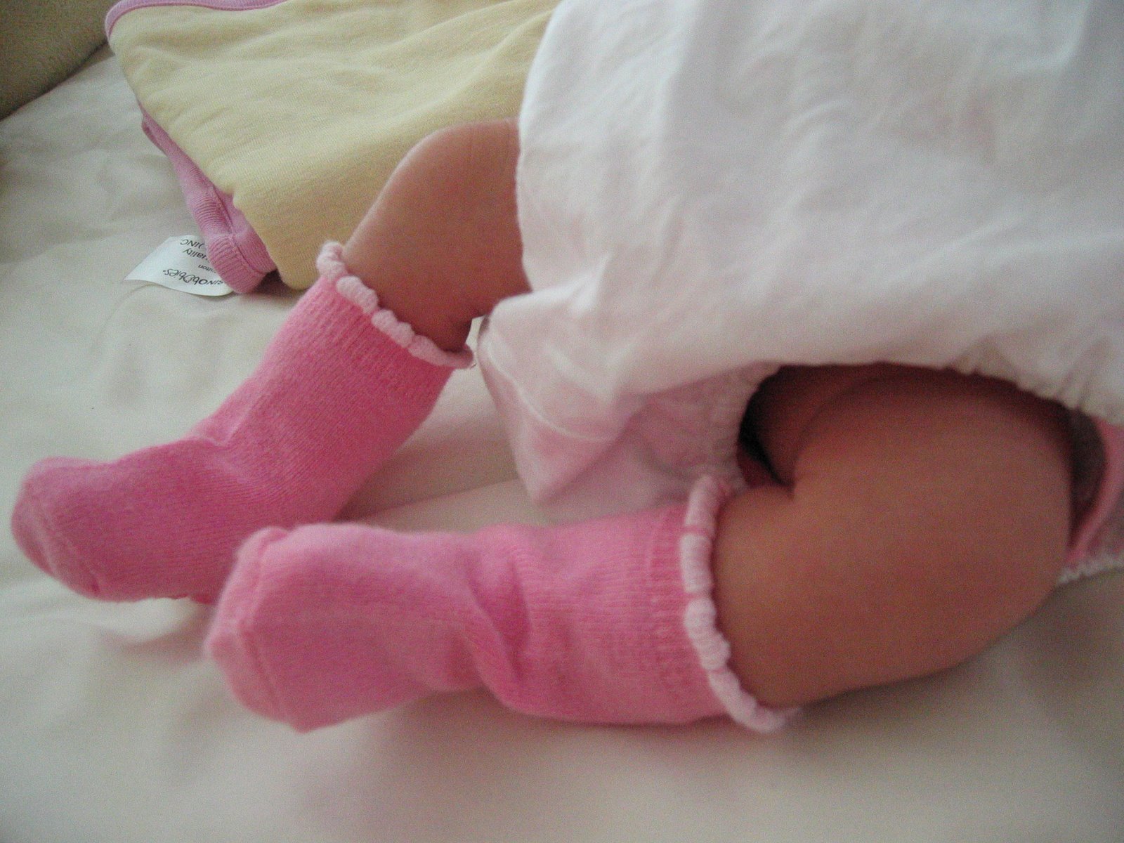 [Picture+042.jpg]