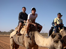 Kamel reiten