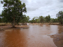 Überschwämmung in Alice Springs