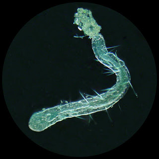 external image 07.jpg