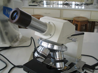 external image 03.JPG