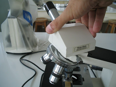 external image moviendo+1.JPG