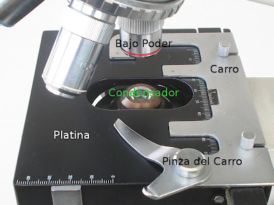 external image platina.JPG