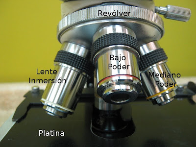 external image objetivos2.JPG