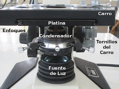 external image condensador.JPG