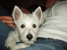 Our third child, Jazz