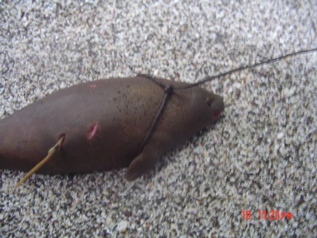 [DSC01582.JPG]