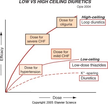 Fortified Fraternity Thiazide Frusemide