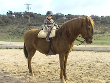 Clases de equitación en Miranda del Rey