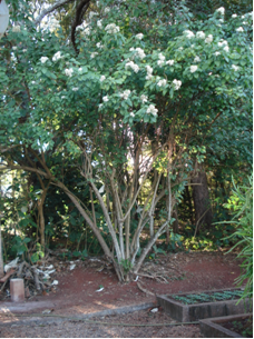 [Nova+Imagem+(1).png]