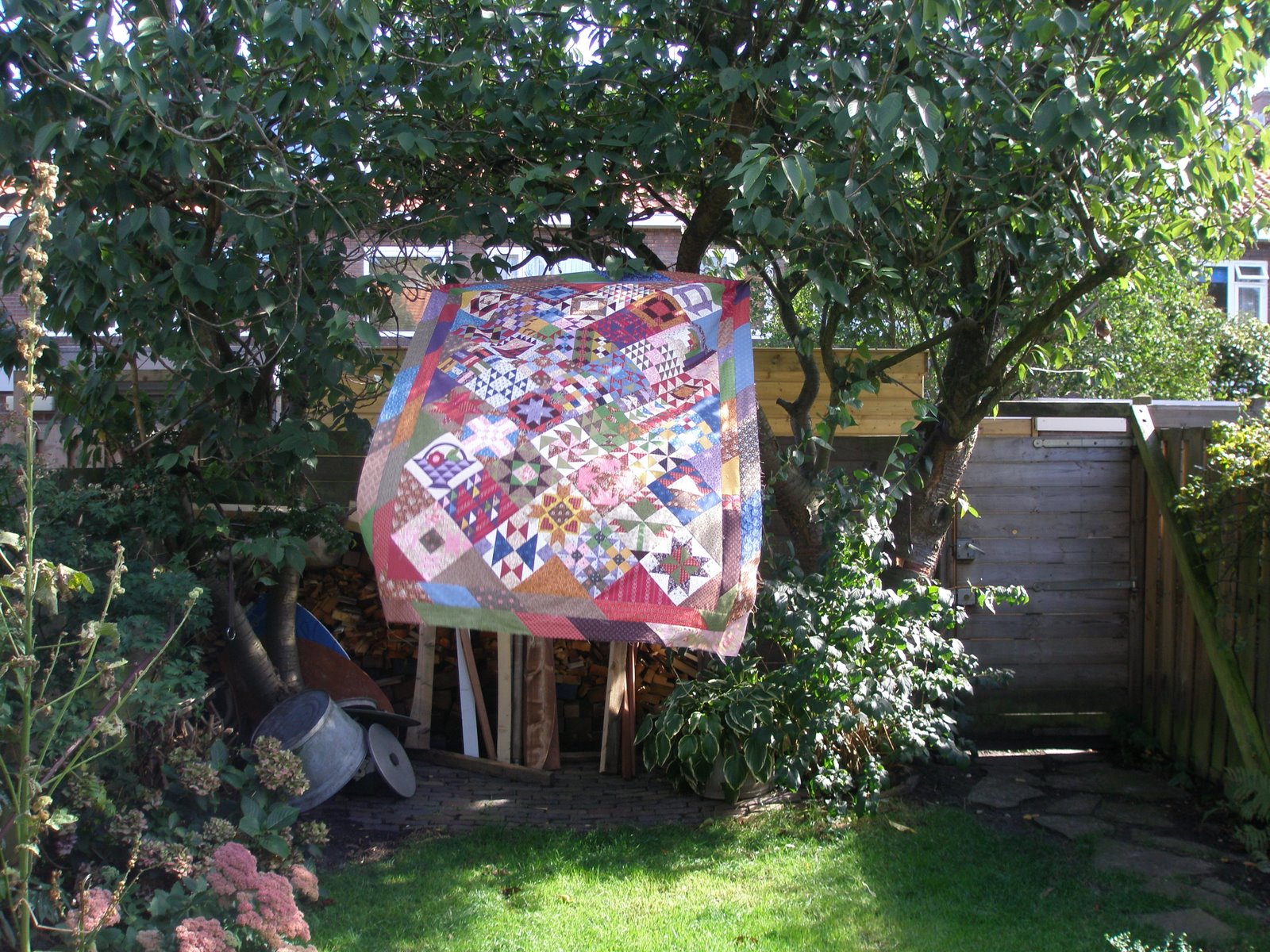 [sampler+009.JPG]