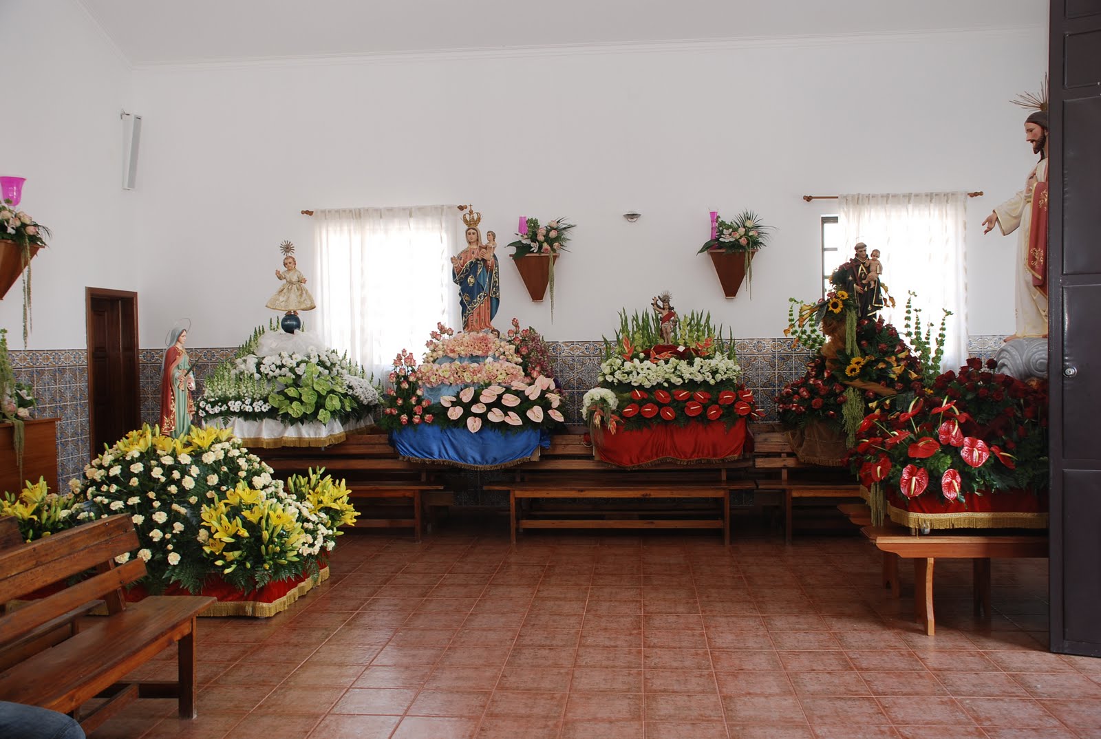 [DSC_5919.JPG]
