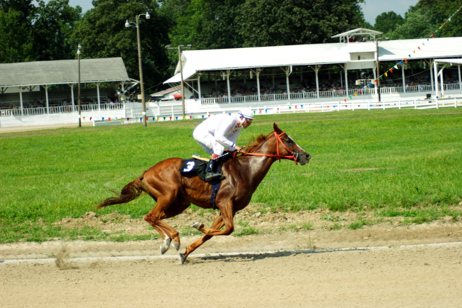 [FairSatRaces23.JPG]