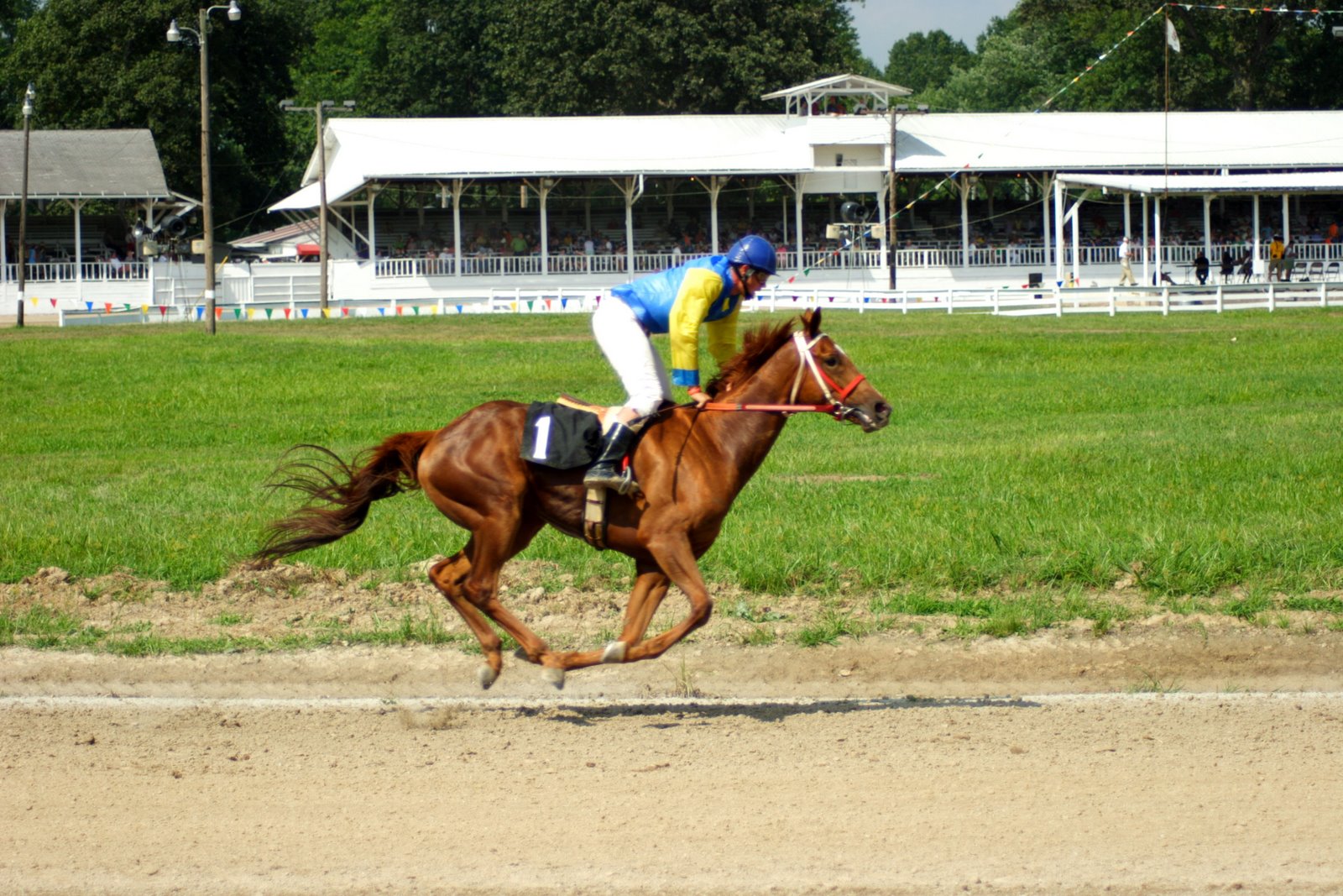 [FairSatRaces25.JPG]