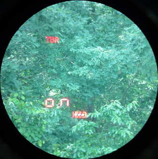 A Real Man's Objective Reviews / Gunsumer Reports: Leupold RX-1000 TBR