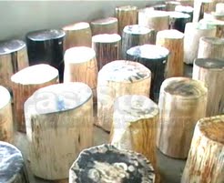 Stone Art Creators