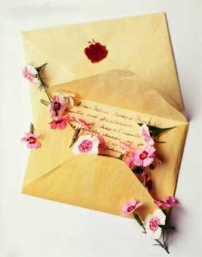 [carta.bmp]