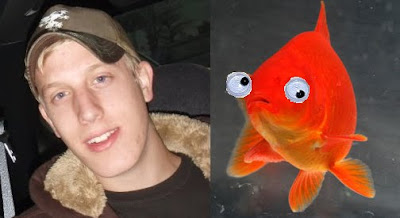 Goldfish Googly Eyes