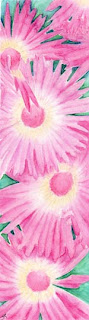 Pink Watercolour Daises by Jennifer Rose Phillip
