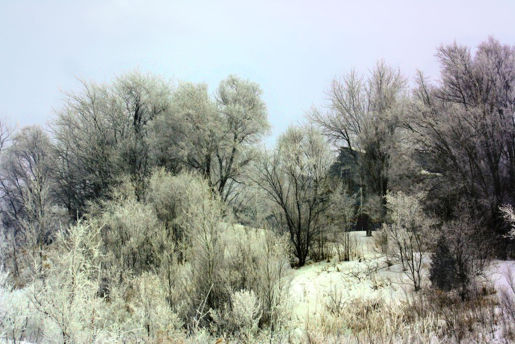 [IMG_0319c.jpg]