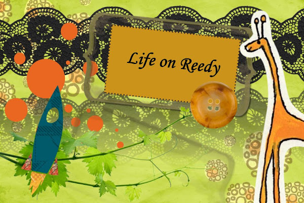 Lifeonreedy