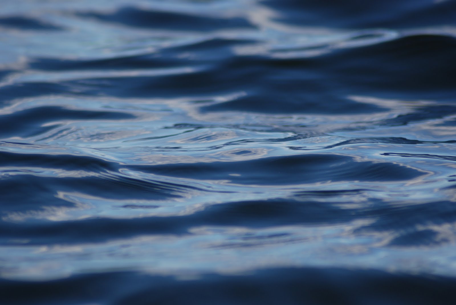 Lake Ripples