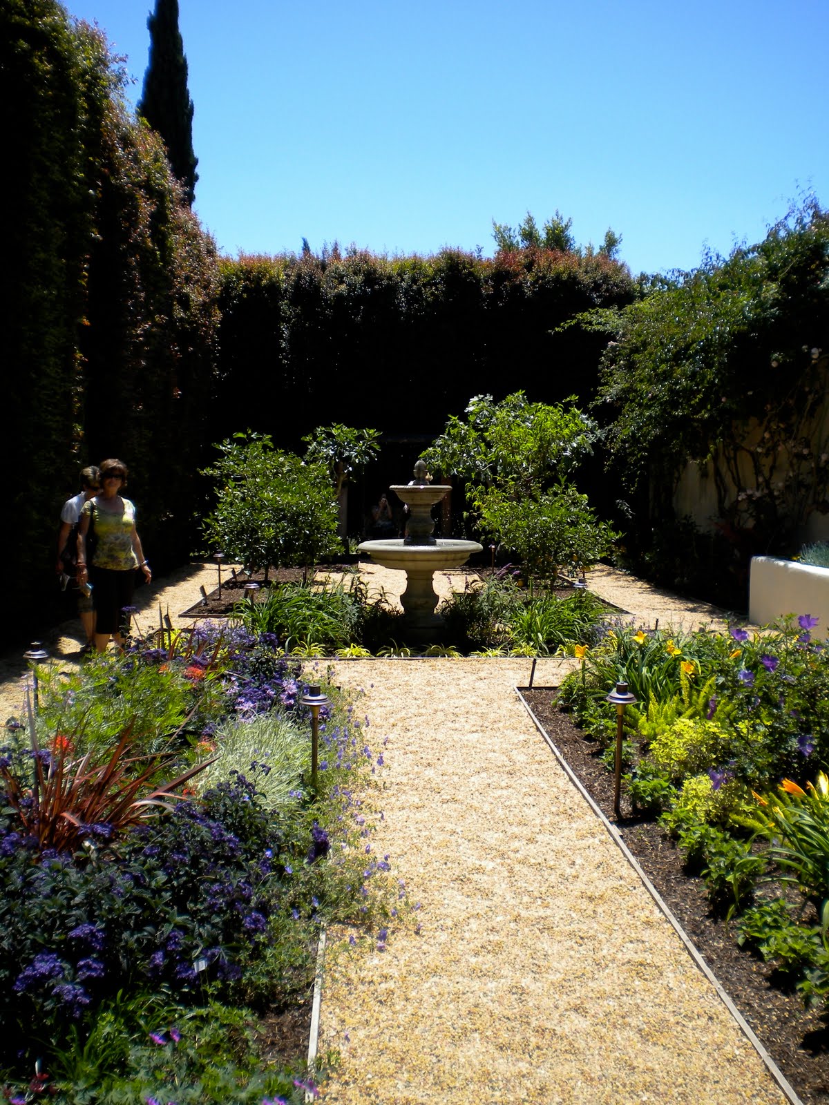 | Sustainable Seedlings grown in San Diego, CA | Page 5