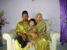 Aidilfitri 2009