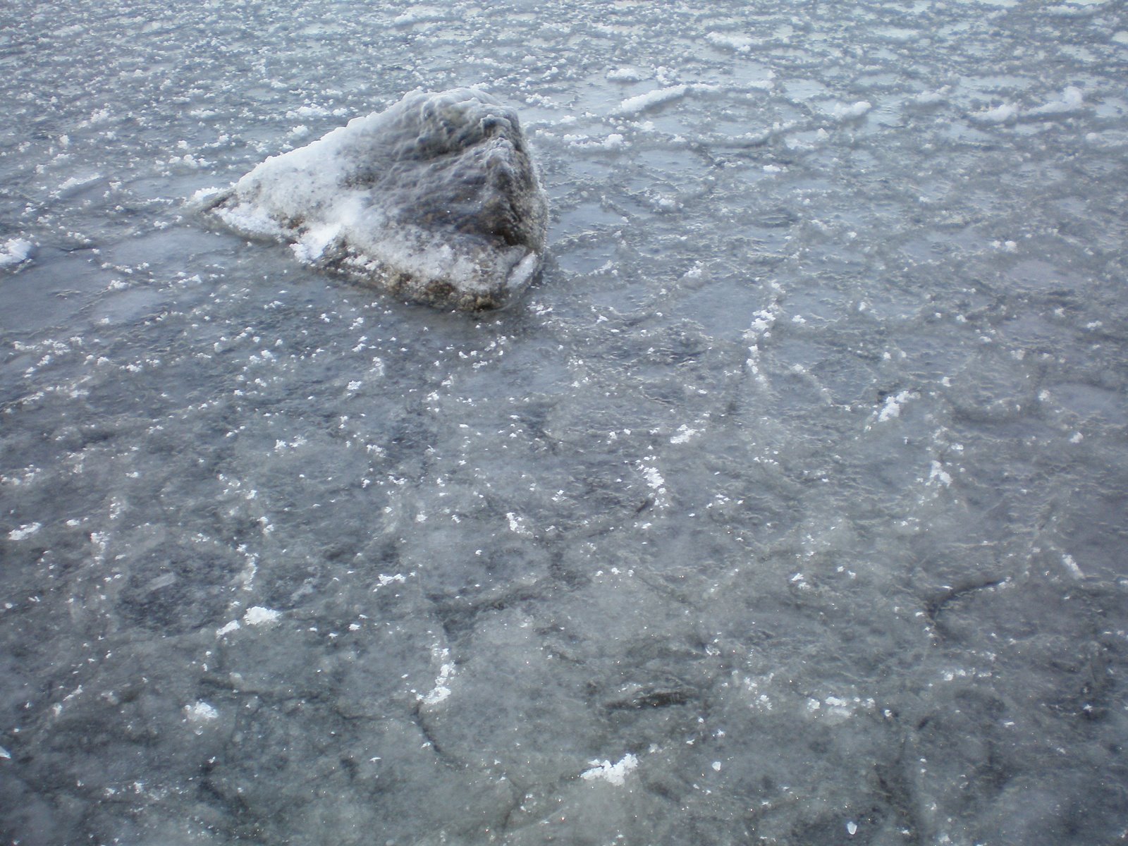 [P1030054.JPG]