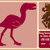 1st Grade Dinosaurs