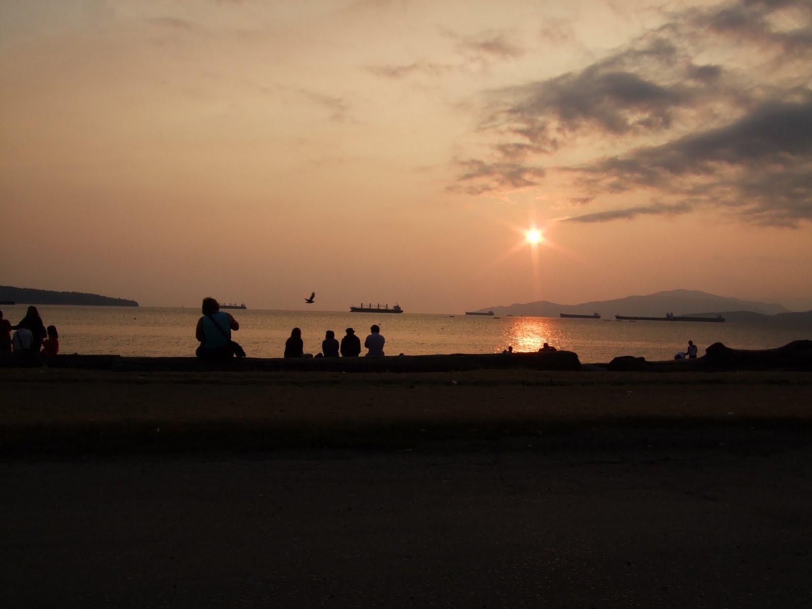 [DSCF6026.JPG]