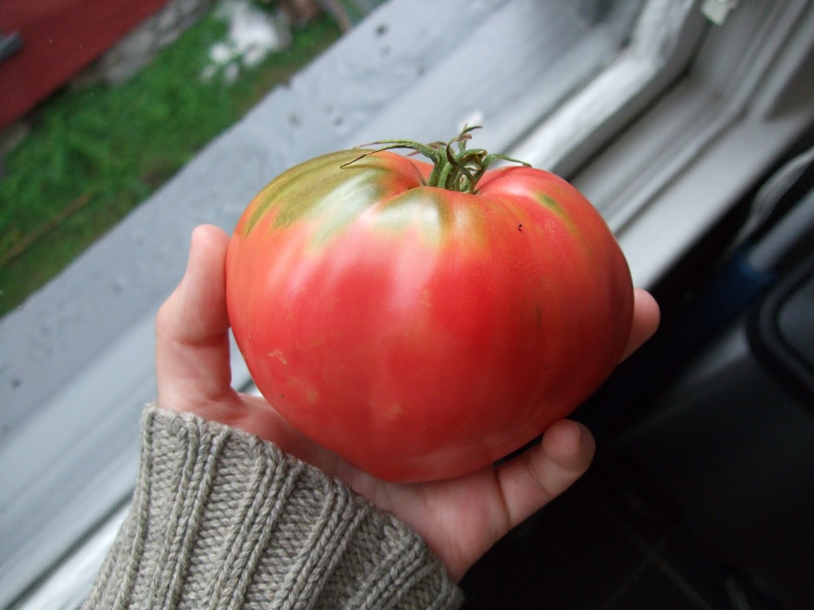 [DSCF6316.JPG]