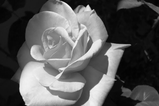 Sleeping+beauty+castle+silhouette