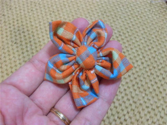 [SDC11649_640x480.jpg]