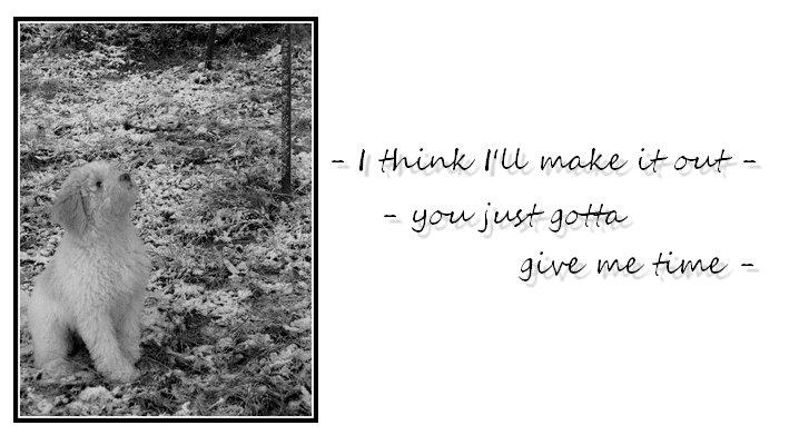 Where is your home tonight?