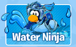 Water Ninja