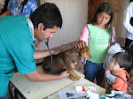 Operativos Veterinarios