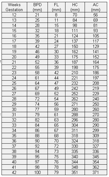 Explore with kids and my self: cara baca hasil USG