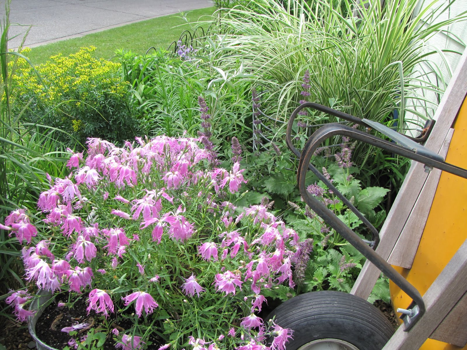 A Corner Garden: Would you Rather See Flowers than Weeds?