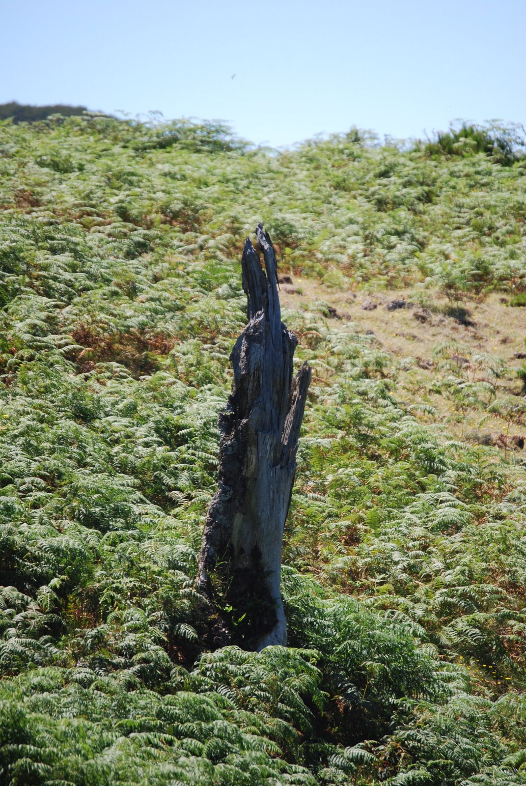 [DSC_0019.JPG]