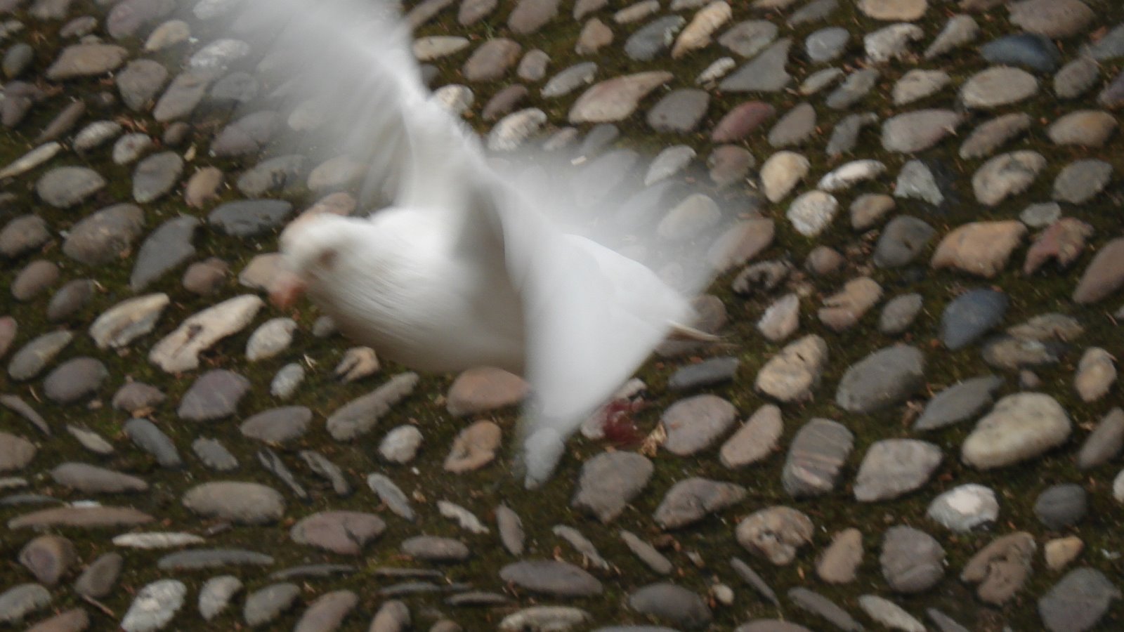 [Andaluzia2007+380.jpg]