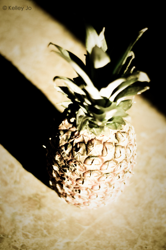 [02.26.10_KJK_0005.jpg]